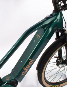 Vern 8.1 Adventure pics, velo electrique trekking 2