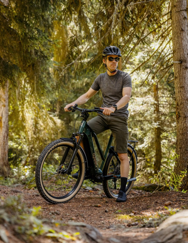 Vern 8.1 Adventure