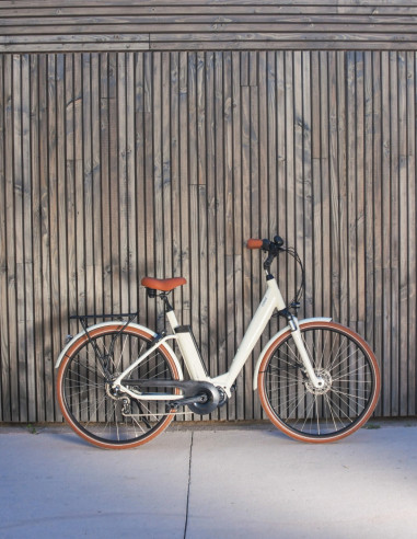iVog 6