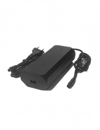 chargeur 4a pour batterie iPowerLife, chargeur batterie Buzz