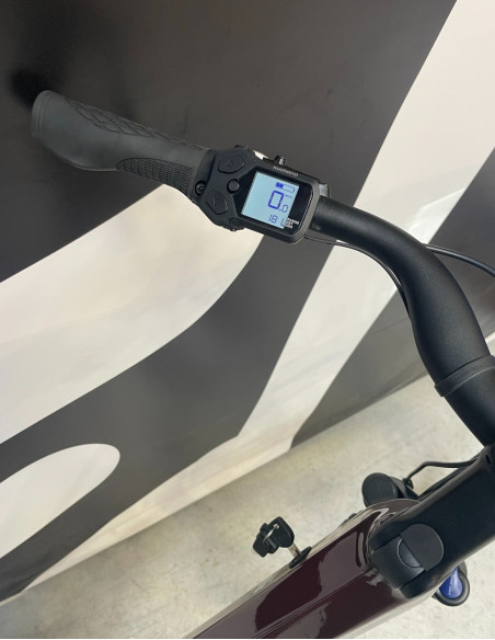 iSwan 6.2 Explorer Reconditionné - M - 181Km