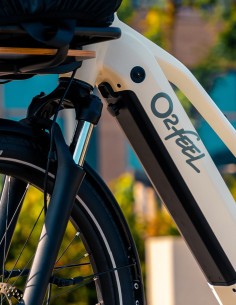 Vis capot de batterie pour Vern et Equo 2